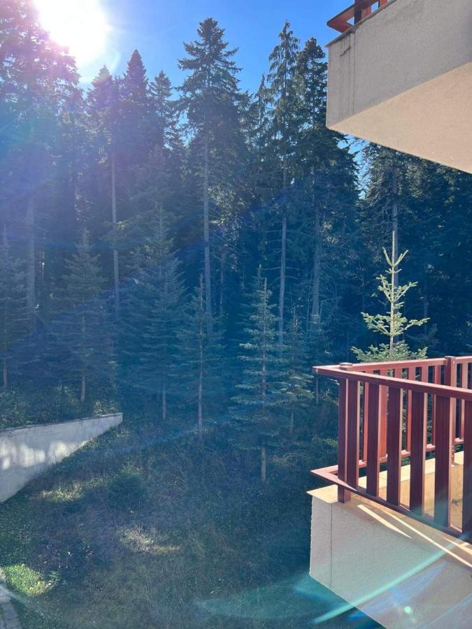 Arboro Flora Residence Studio Borovets Buitenkant foto