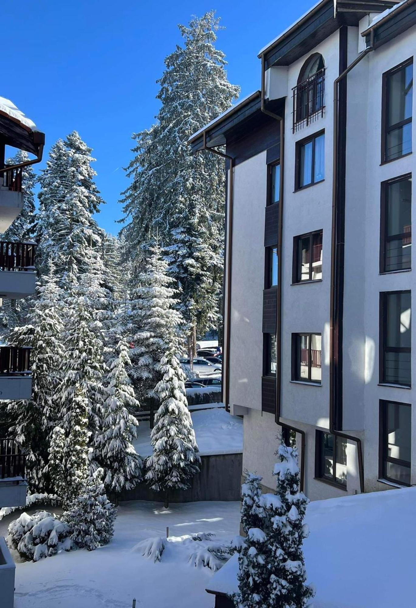 Arboro Flora Residence Studio Borovets Buitenkant foto