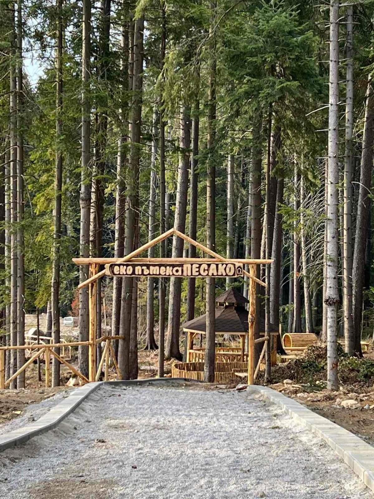 Arboro Flora Residence Studio Borovets Buitenkant foto