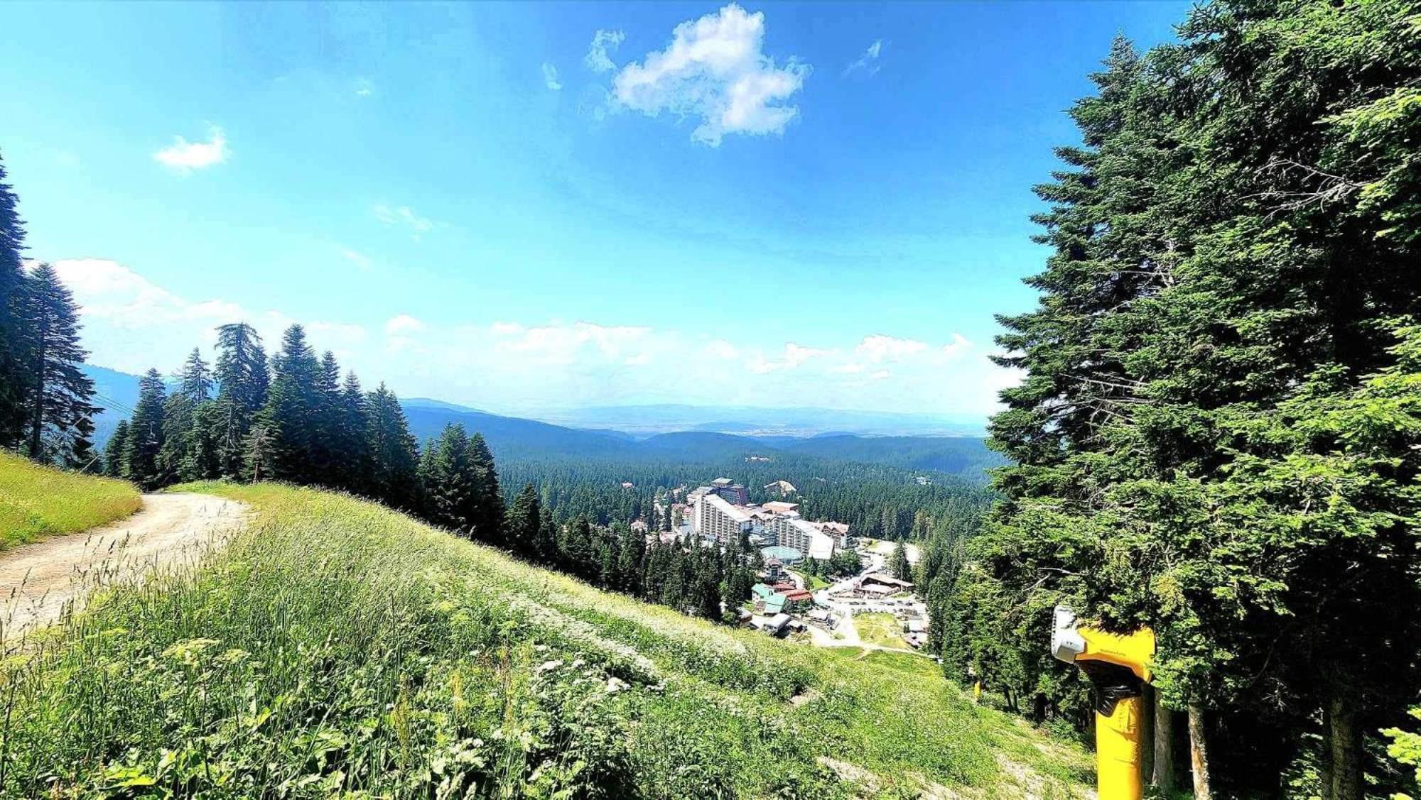 Arboro Flora Residence Studio Borovets Buitenkant foto